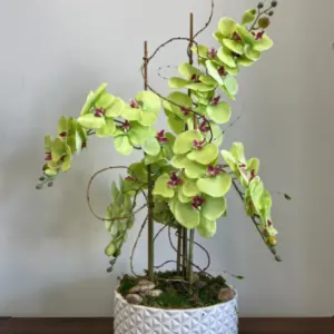 CF04 - ORCHIDÉE ARTIFICIELLE